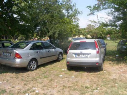 În staţiunea Mamaia, bolizii ocupă tot spaţiul verde